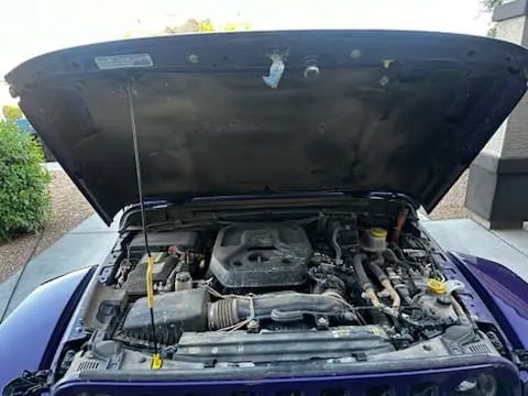 Cleaned and dressed Jeep engine bay