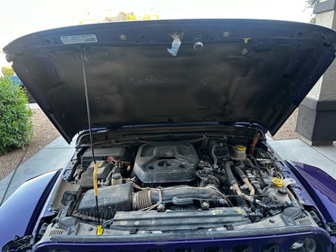 Cleaned and dressed Jeep engine bay