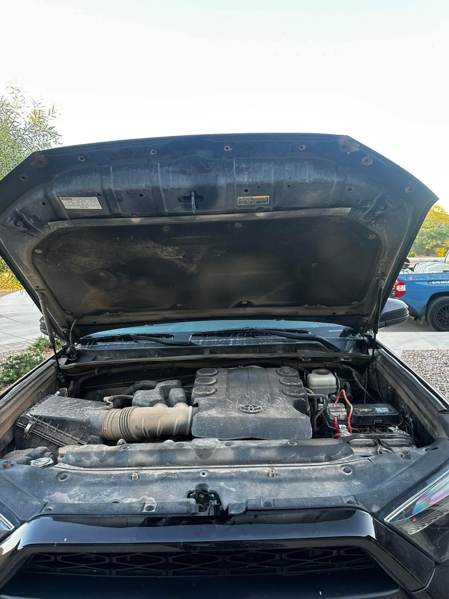 Before detailing